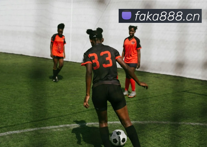 巅峰国际app官网注册平台生态图