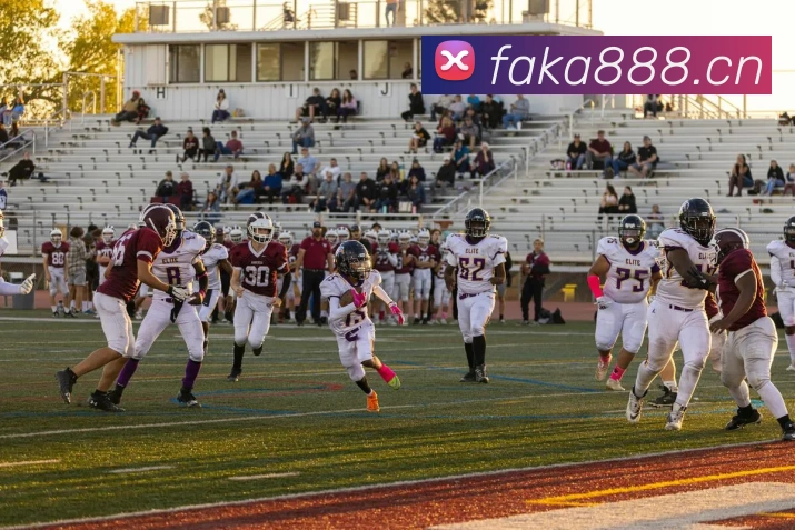 数据防护可视化